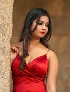 call girl service in Vallabhnagar